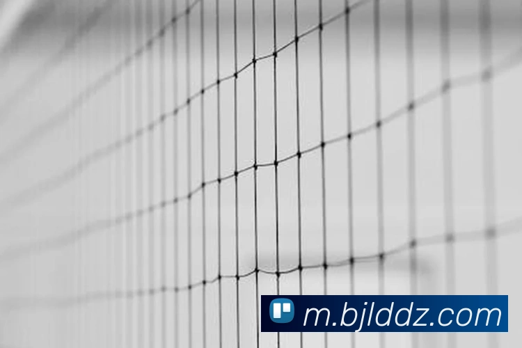 百家乐网站发展历程